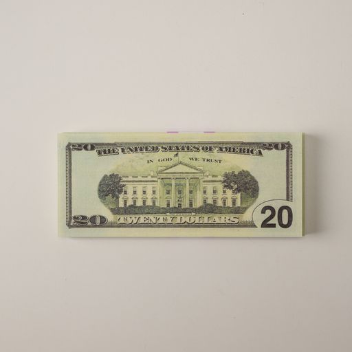 $20 Replica Bills Affordableprops.com